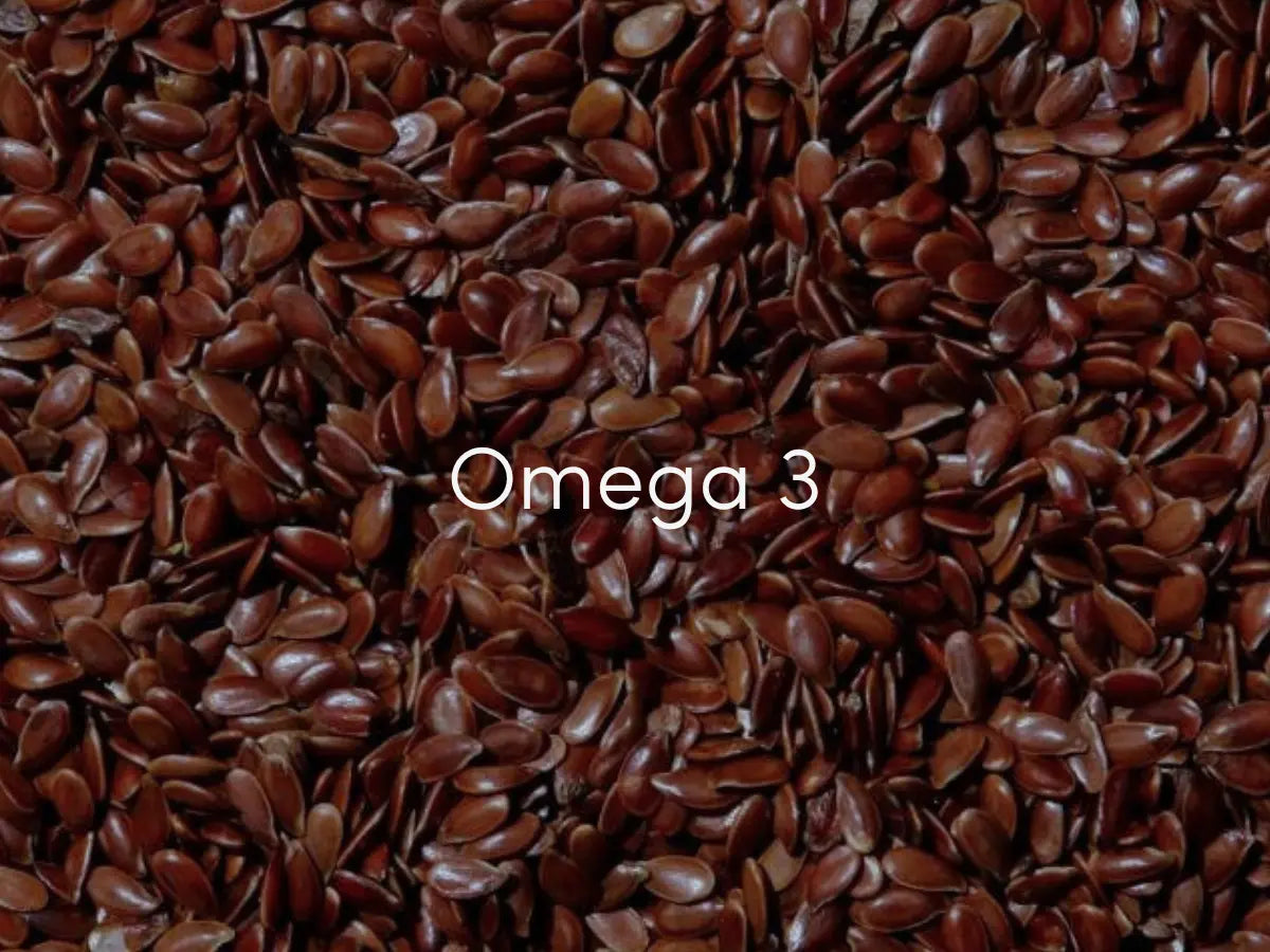 Flaxseed Oil - A Powerful Omega-3 Source for Brain Health