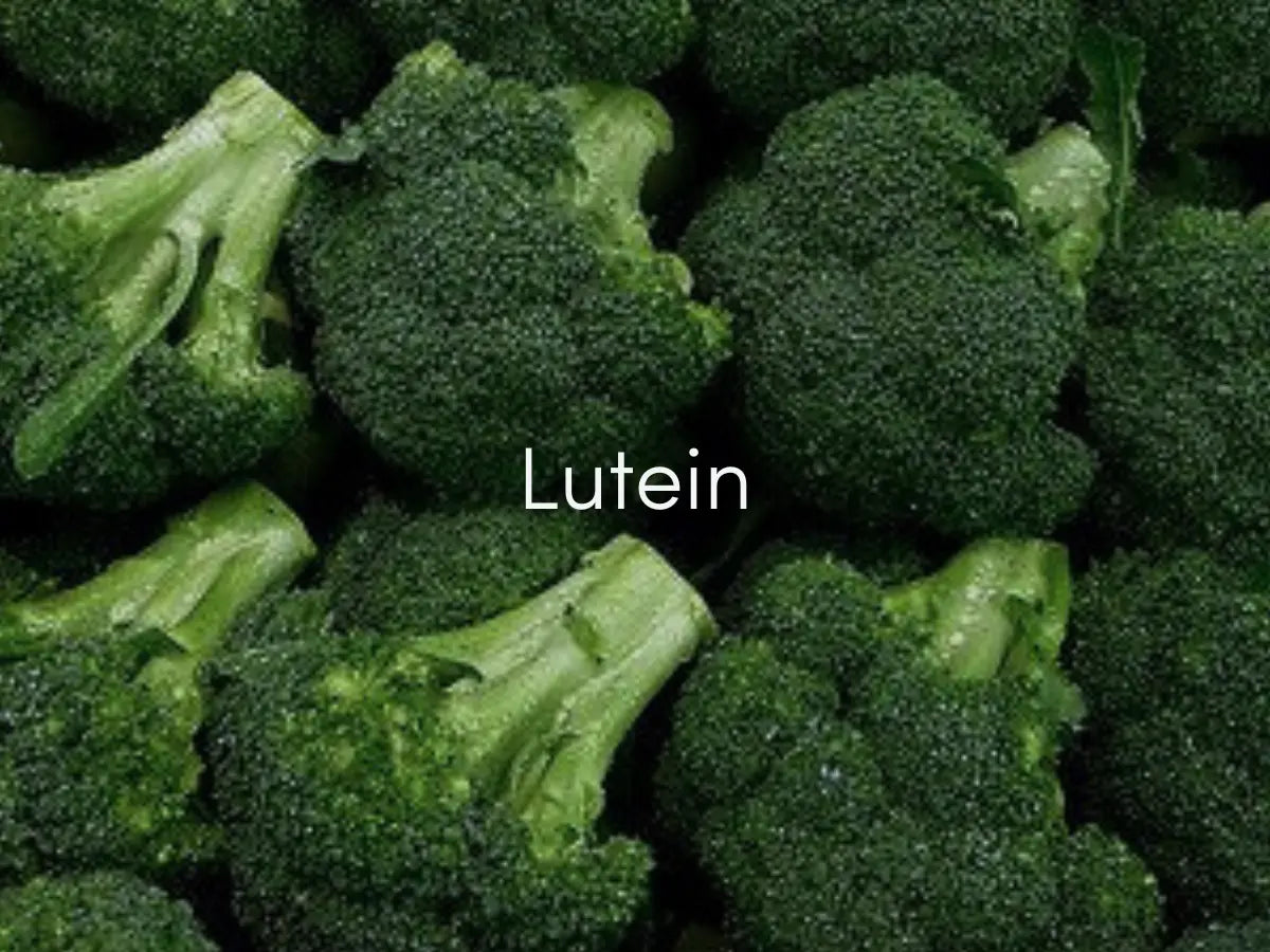 Lutein Eye Vitamins – Benefits for Vision and Brain Health