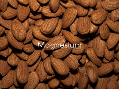 Magnesium Benefits for Brain & Stress