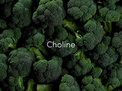 Choline for brain health