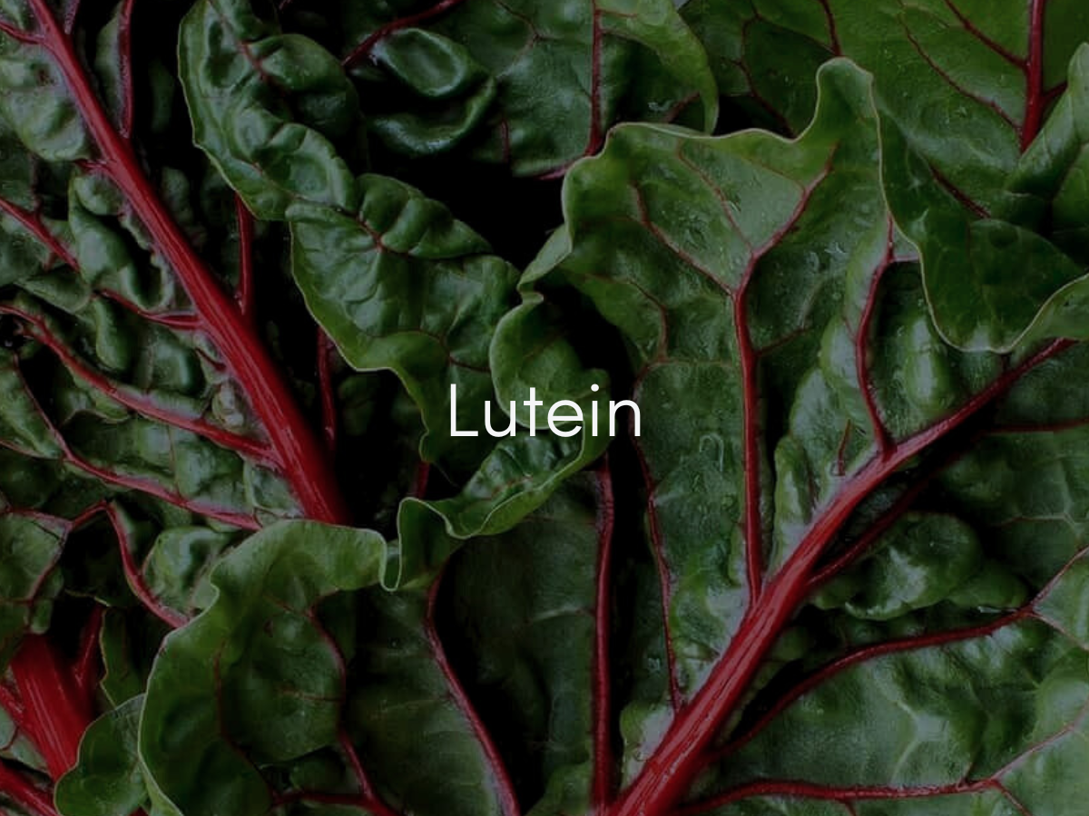 Lutein Eye Vitamins – Benefits for Vision and Brain Health