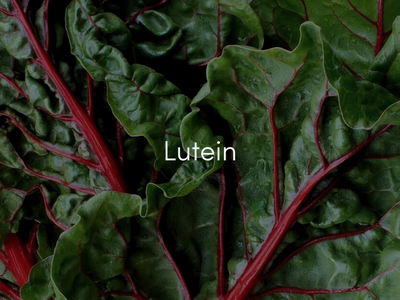 Lutein Eye Vitamins – Benefits for Vision and Brain Health