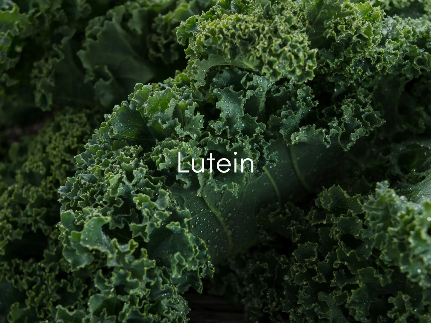 Lutein Eye Vitamins – Benefits for Vision and Brain Health