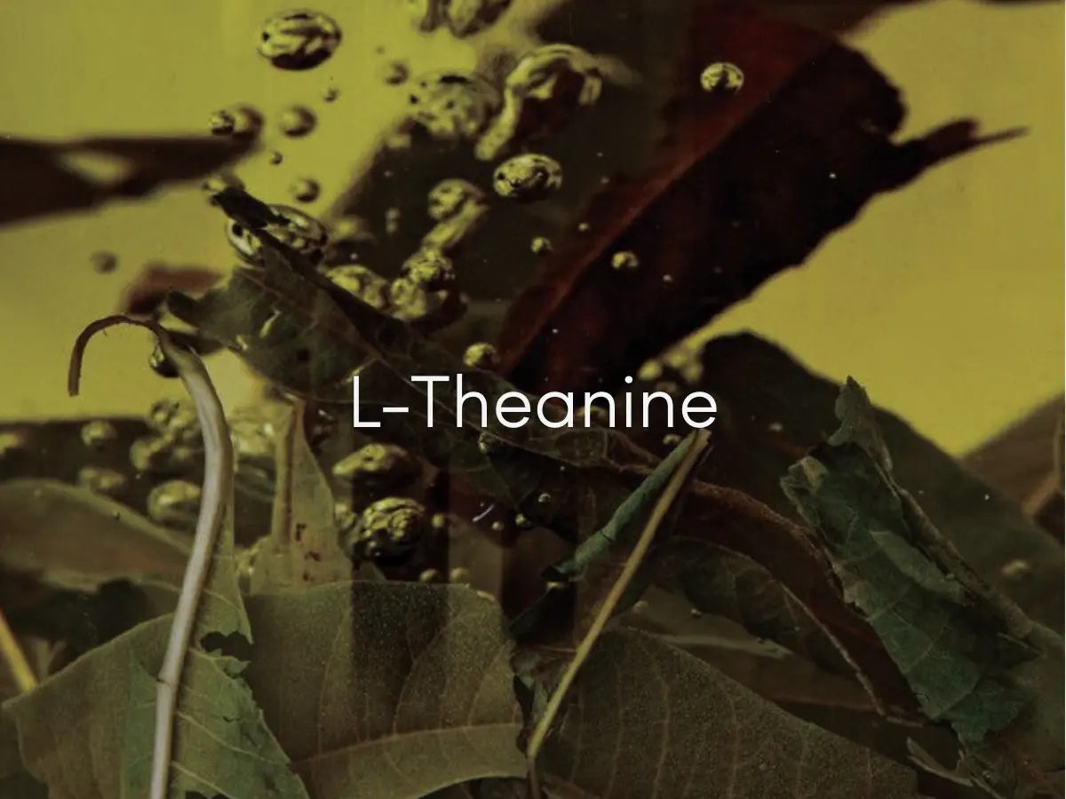 L-Theanine: reducing stress and anxiety