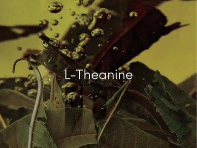 L-Theanine: reducing stress and anxiety