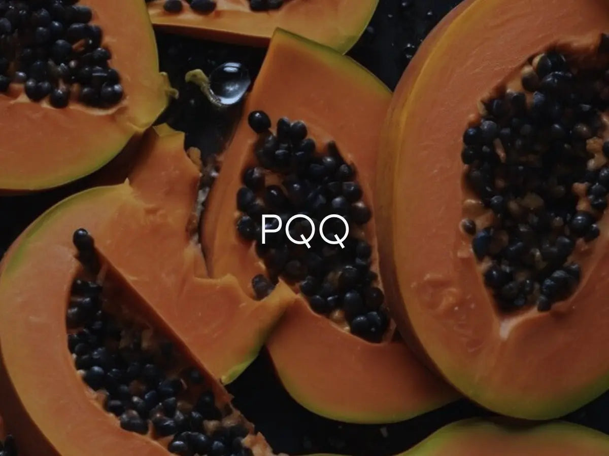 PQQ Benefits for Brain Health and Energy