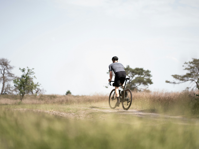 The Antidepressant Effects of Exercise: A Detailed Look