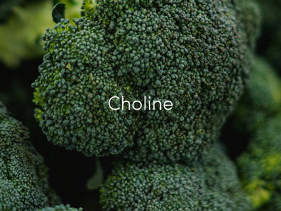 Choline for Brain Health – Memory, Focus & Cognition