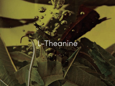 L-Theanine: reducing stress and anxiety