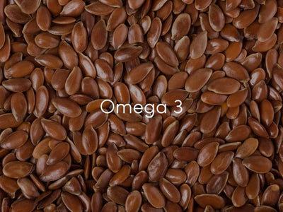 Flaxseed Oil: A Powerful Omega-3 Source for Brain Health