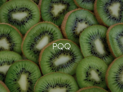 PQQ Benefits for Brain Health and Energy