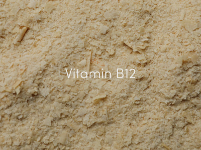 Vitamin B12 – Benefits for Brain, Energy & Mood